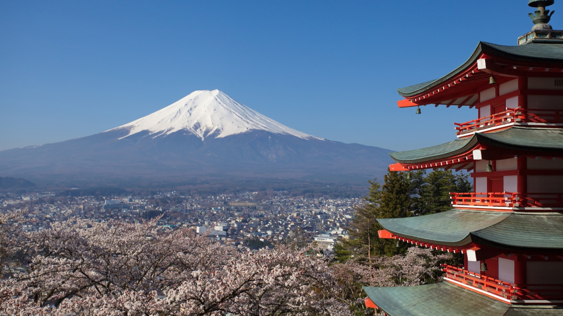 CK Victory Travel - Japonsko