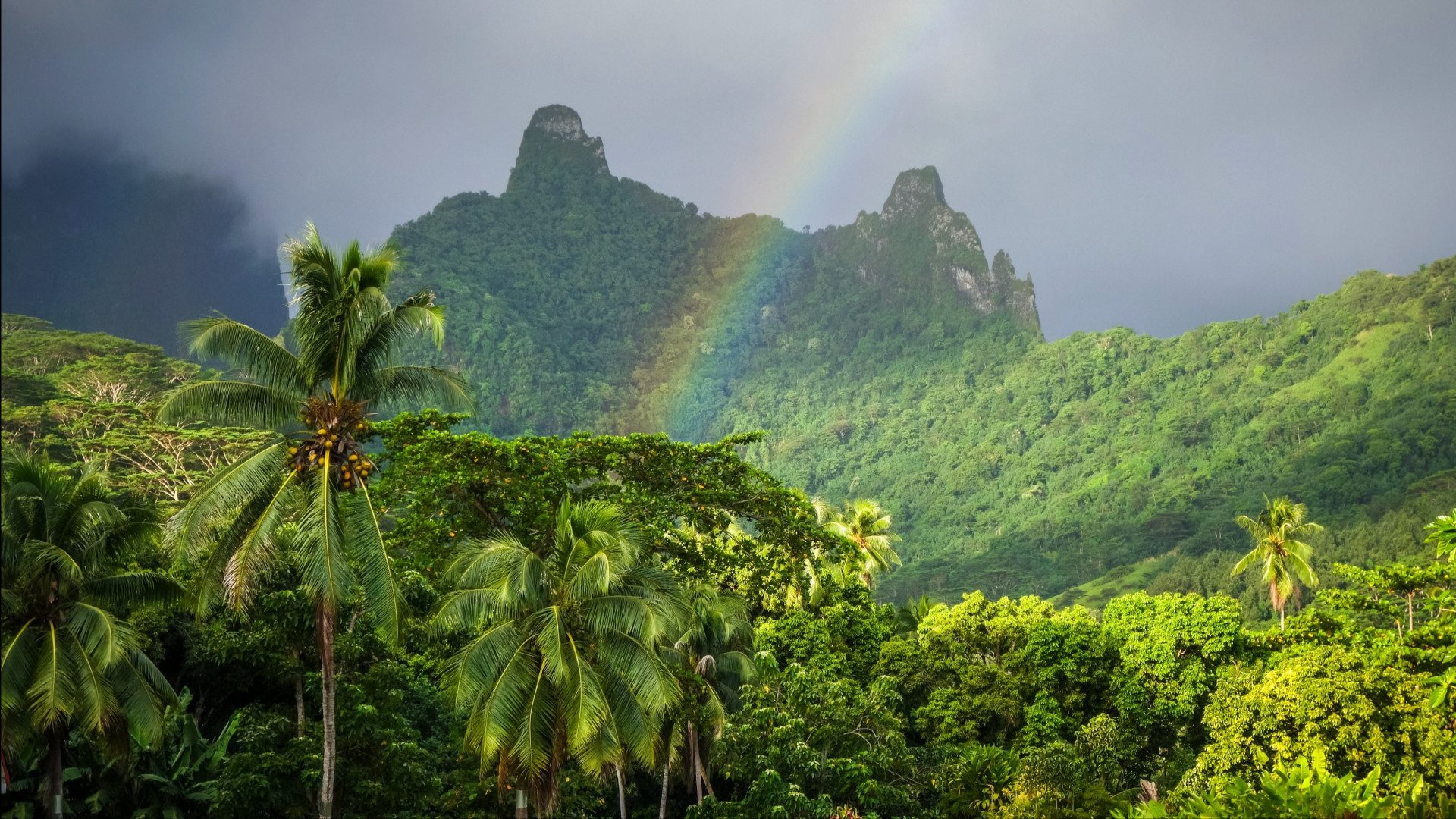 ck-victory-travel-australia-a-oceania
