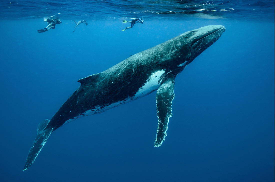 Najzaujímavejšie miesta - Austrália a Oceánia - Victory Travel