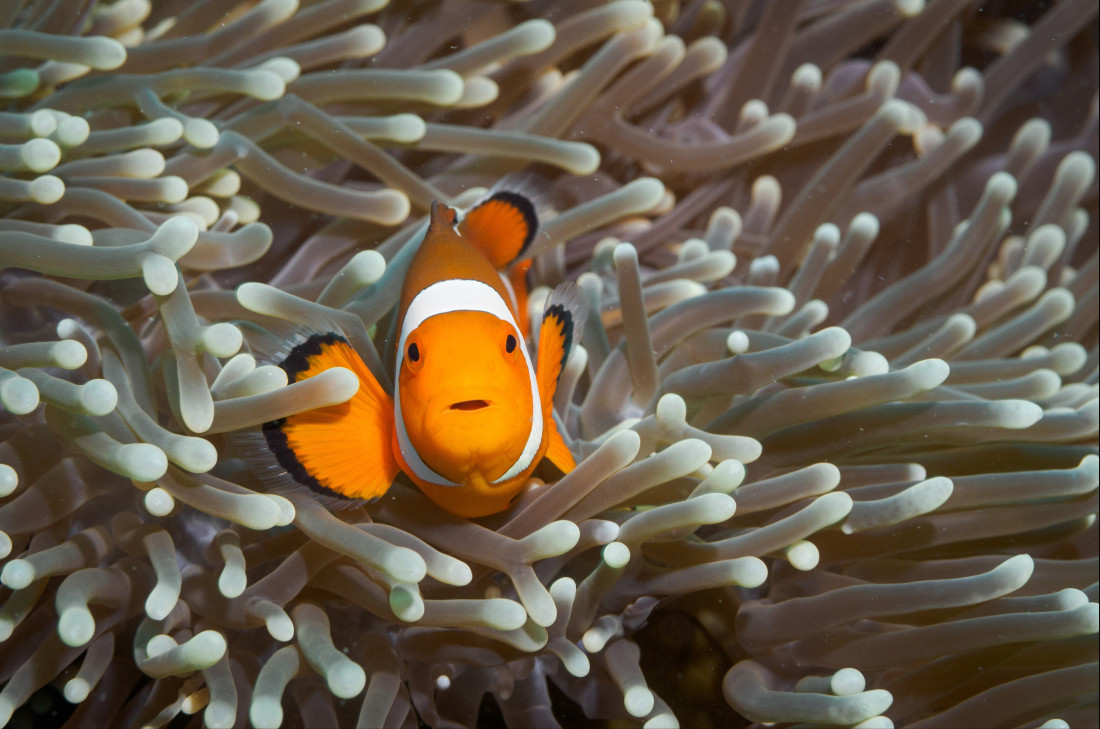 Najzaujímavejšie miesta - Austrália a Oceánia - Victory Travel