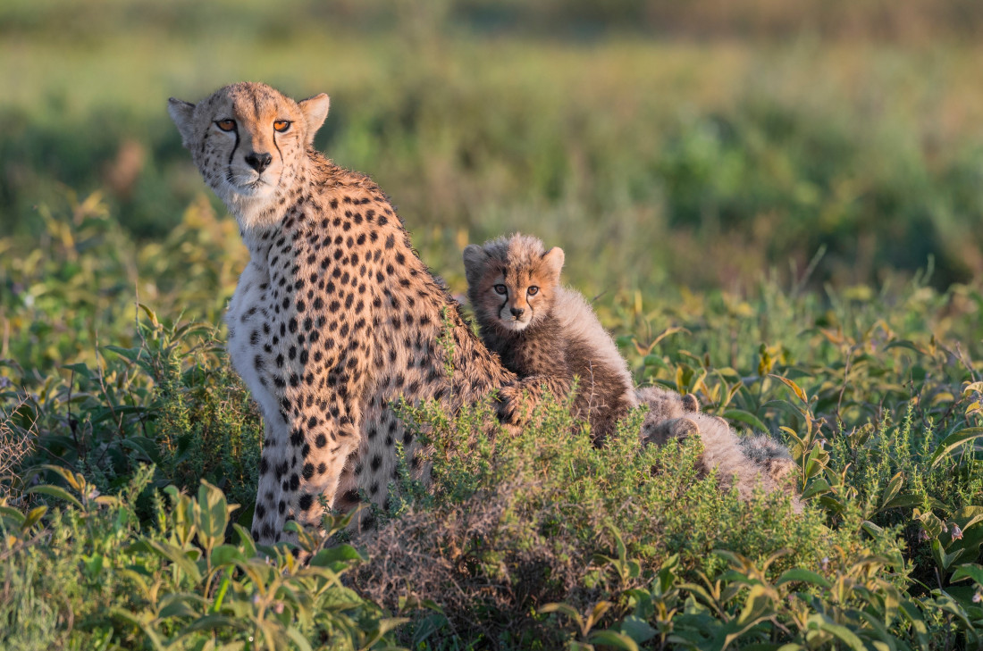Najzaujímavejšie miesta - Afrika - Victory Travel