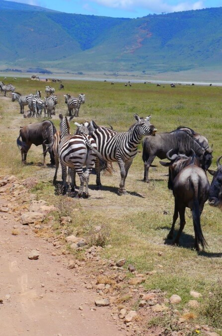 na-ceste-fm-tanzania-audioblog-ck-victory-travel