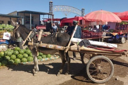 cesta-do-afganistanu-a-mozno-aj-dalej-8-kashgar-blog-ck-victory-travel