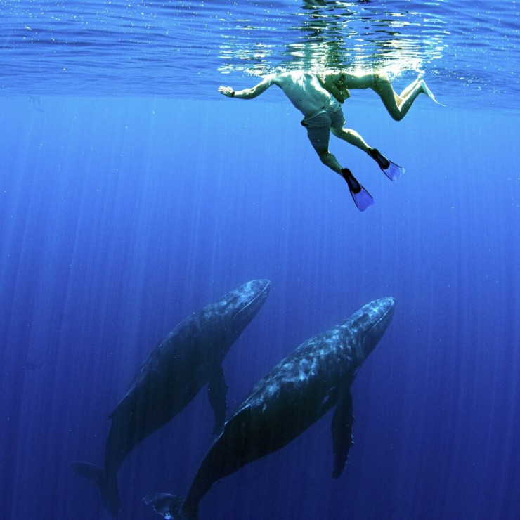 moorea-victory-travel-na-instagrame