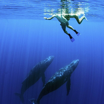 moorea-victory-travel-na-instagrame