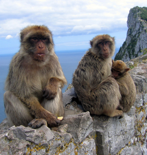 gibraltar-bohdan-ulasin-audioblog-ck-victory-travel