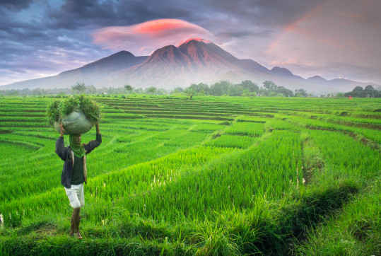 islam-v-indonezii-juraj-uvira-audioblog-ck-victory-travel