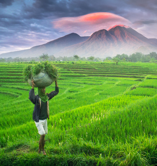 islam-v-indonezii-juraj-uvira-audioblog-ck-victory-travel