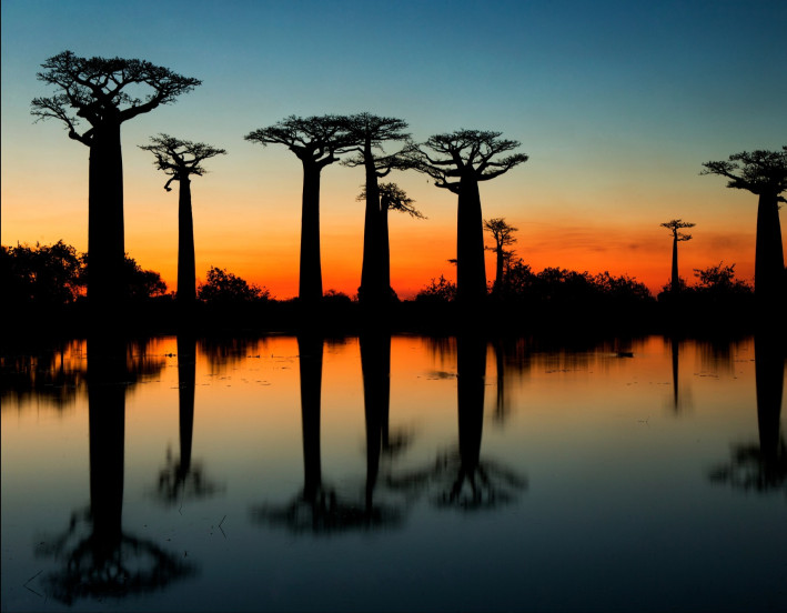 narodne-parky-madagaskaru-vladimir-dudlak-audioblog-ck-victory-travel