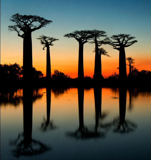 narodne-parky-madagaskaru-vladimir-dudlak-audioblog-ck-victory-travel