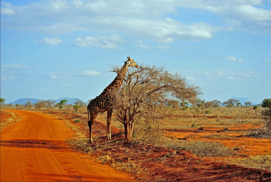 stopom-po-afrike-slavek-kral-audioblog-ck-victory-travel