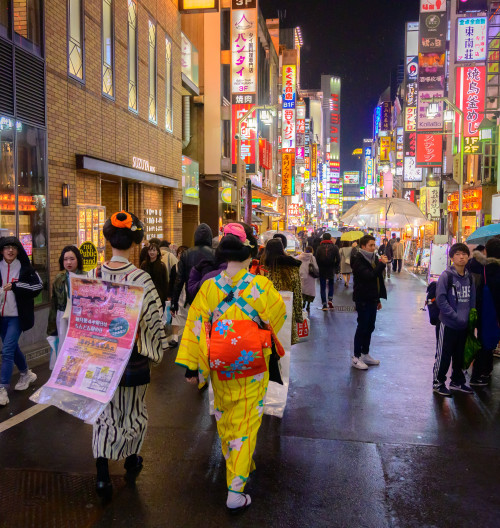 japonsko-peter-koutny-audioblog-ck-victory-travel