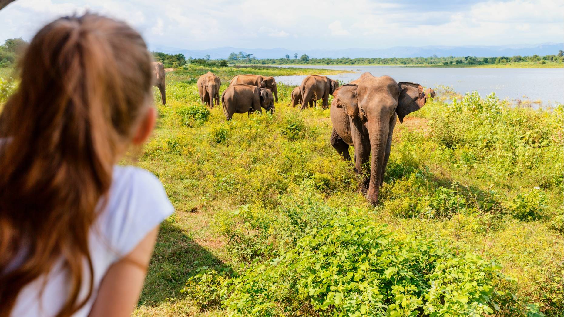 victory-travel-botswana