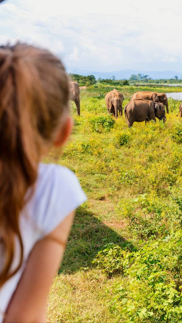 victory-travel-botswana