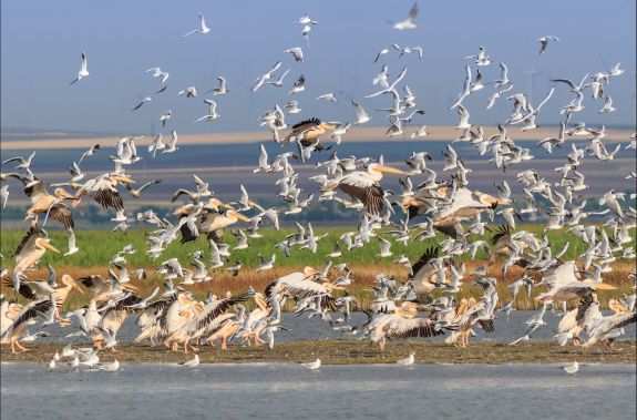 Zájazd CK Victory Travel - UNIKÁTNA DELTA DUNAJA