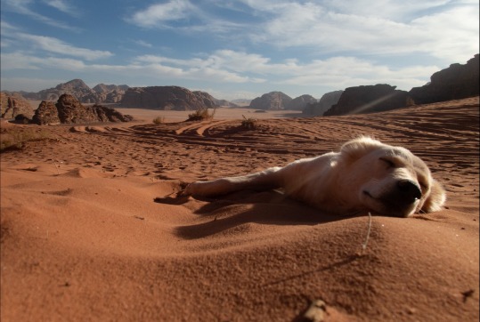 prechod-pustou-wadi-rum-jordansko-tomas-macha-audioblog-ck-victory-travel