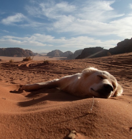 prechod-pustou-wadi-rum-jordansko-tomas-macha-audioblog-ck-victory-travel