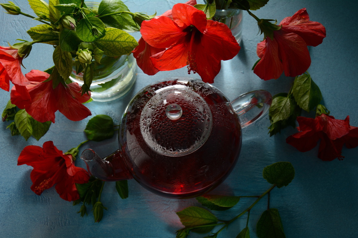 Hibiscus tea in a glass transparent teapot