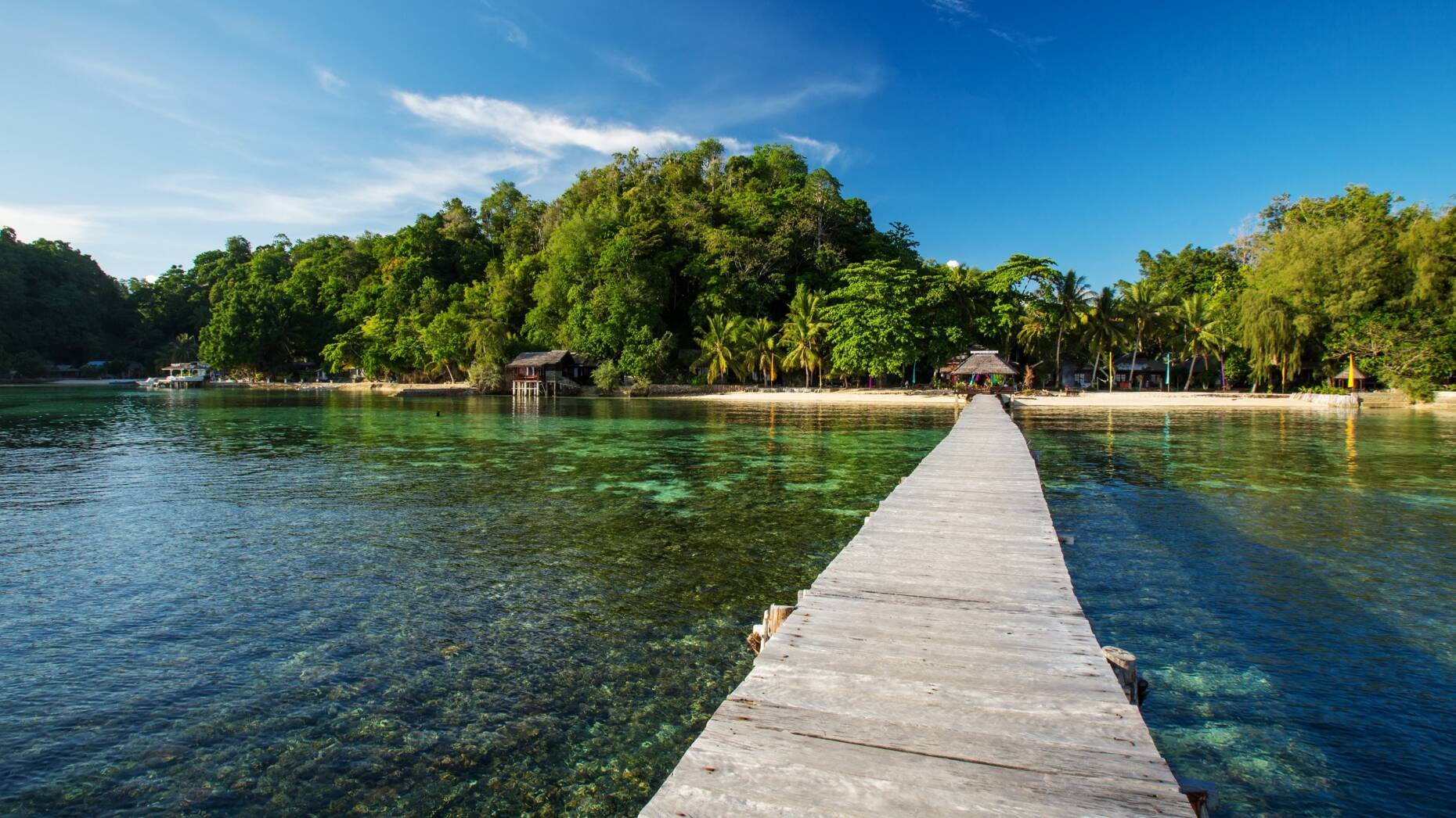 sulawesi