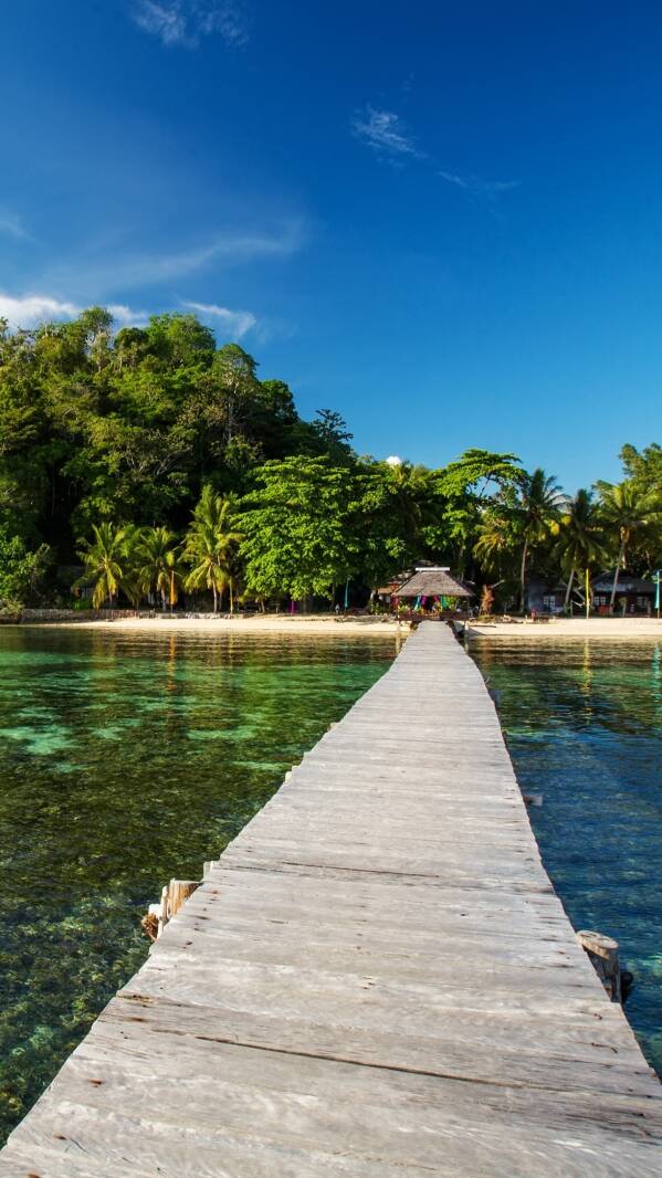 sulawesi