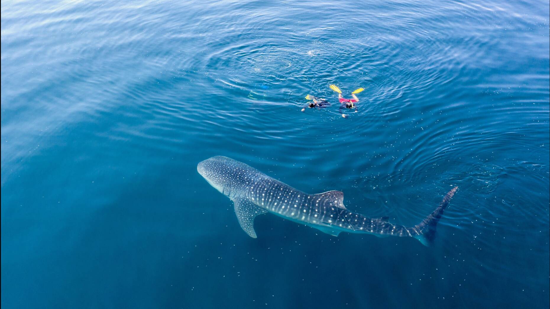 victory-travel-maldivy