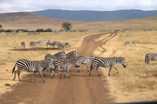 ngorongoro-blog-ck-victory-travel